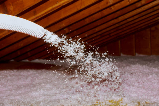 Best Attic Insulation Installation  in Otsego, MN